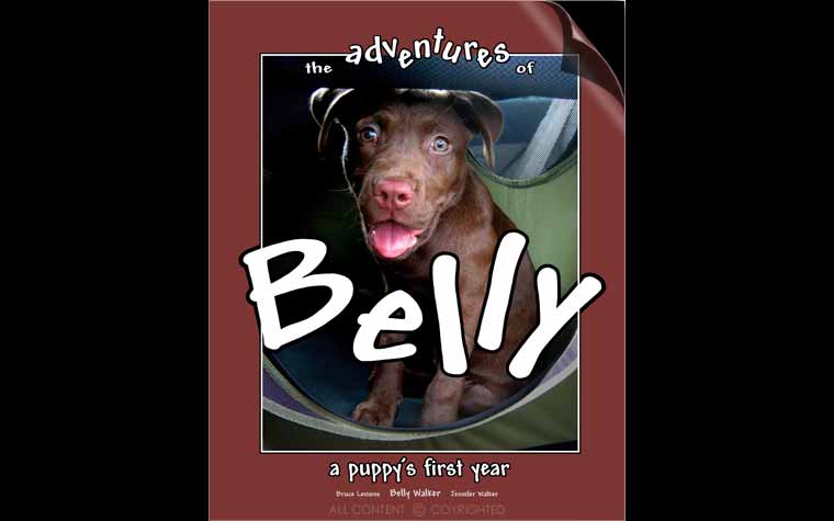The Adventures Of Belly - Cover