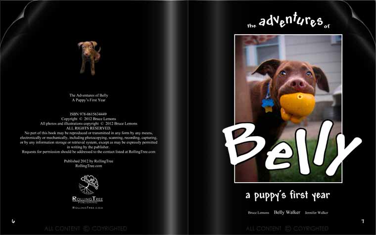 The Adventures Of Belly - Page 6