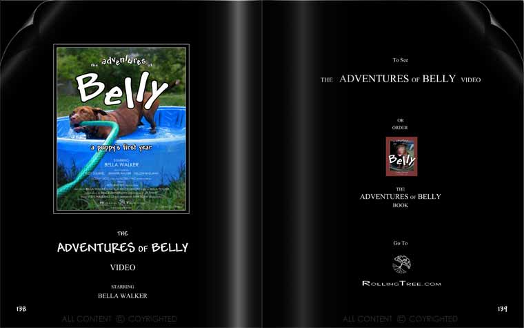 The Adventures Of Belly - Page 138