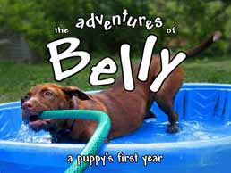 The Adventures Of Belly Video