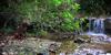 	Puppy at the Waterfalls