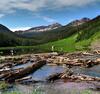 	Snowmass Creek Beaver Pond Detail - Maroon Bells Wilderness - Colorado