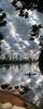 	Downtown Skyline and Kayaker from Lou Neff Point Lady Bird Lake - Austin - Texas.