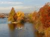 	Kayaker on Lady Bird Lake in Fall Color - Austin - Texas