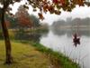 	Fly Fisherman on Lady Bird Lake in the Fall at Festival Beach - Austin - Texas