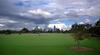 	Downtown Skyline Over Zilker Park 4 - Austin - Texas