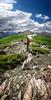 	Continental Divide Above Twin Lakes 7 - Weminuche Wilderness