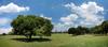 	Downtown Skyline Over Zilker Park 1 - Austin - Texas