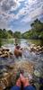 	Dog Wading Below Barton Springs - Austin - Texas