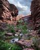 	Upper Tapeats Creek Off Trail - Grand Canyon