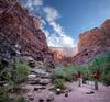 	Tapeats Creek Campsite - Grand Canyon