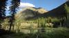 	Moose in the Elk Creek Beaver Ponds