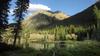 	Moose in the Elk Creek Beaver Ponds