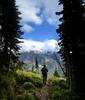 	Mt Brown Trail - Glacier National Park