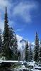 	Ptarmagin Trail at Redgap Creek Bridge - Glacier National Park