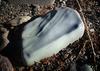 	Water Smoothed Stone on Elizabeth Lake Beach - Glacier National Park