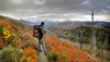 	Highline Trail Fall Color - Glacier National Park