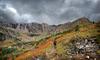 	Swiftcurrent Pass Trail Fall Color - Glacier National Park