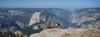 	Marmot On Clouds Rest Overlooking Half Dome - Yosemite