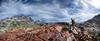 	Volcanic Rock in Ritter Pass Basin - Sierra