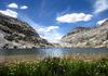 	Wildflowers above Lower Palisade Lake - John Muir Trail