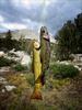 	Trout at Rae Lakes - John Muir Trail